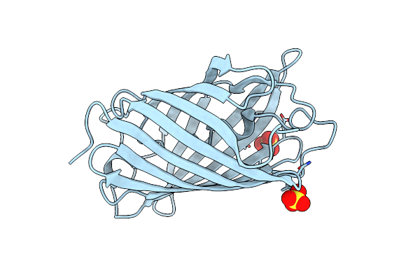 6D38 image