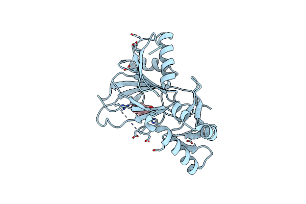6D3J image