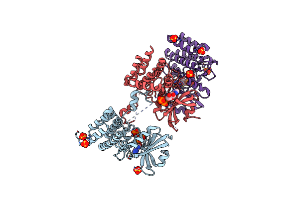 6D3K image