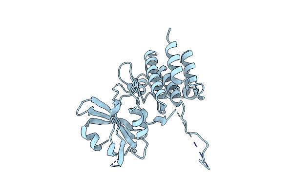 6D3L image