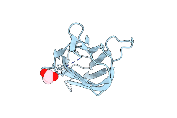 6D3N image