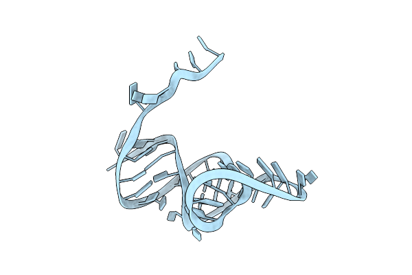 6D3P image