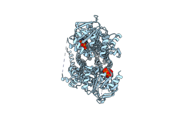 6D3R image
