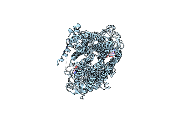 6D3S image