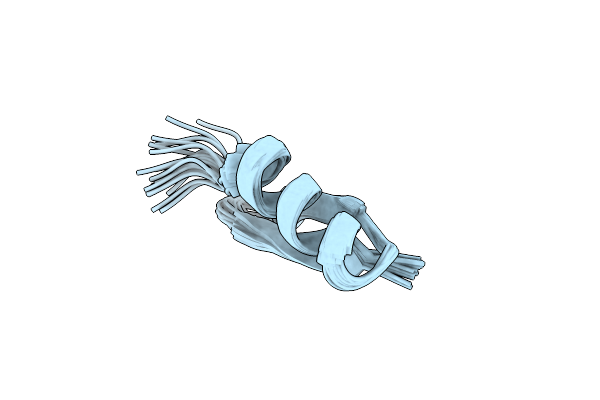 6D3T image