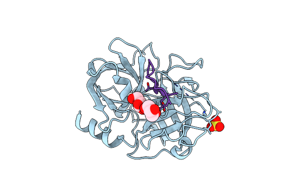 6D3Y image