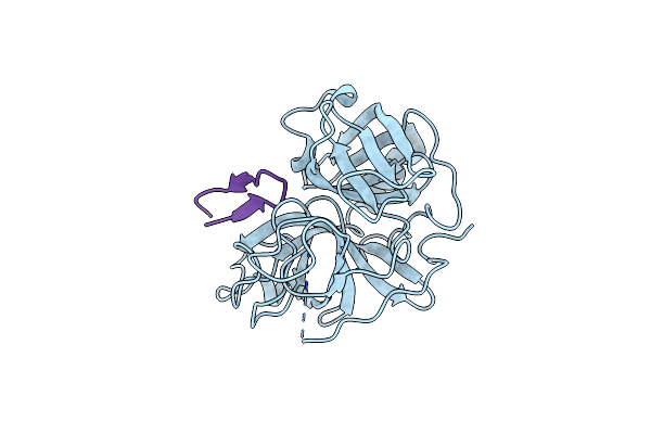 6D3Z image