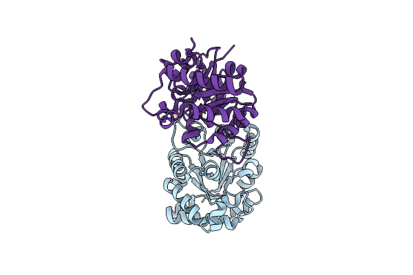 6D43 image