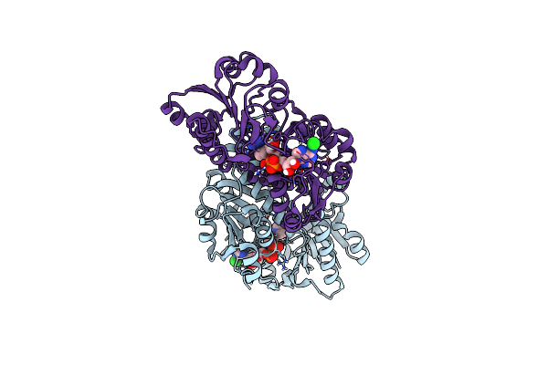 6D4B image