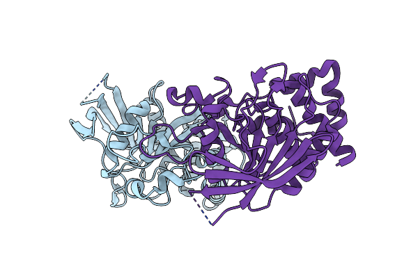 6D4D image