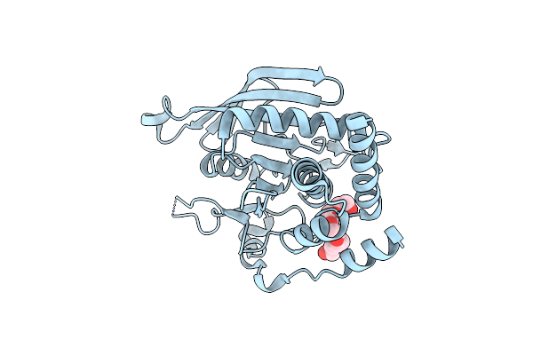 6D4F image