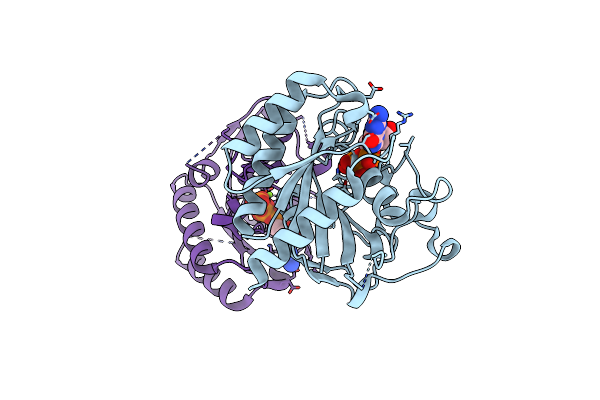 6D4G image