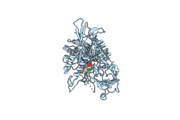 6D4O image