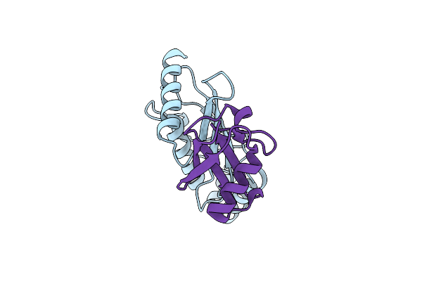 6D4P image