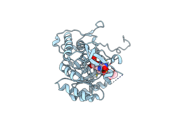6D4Q image