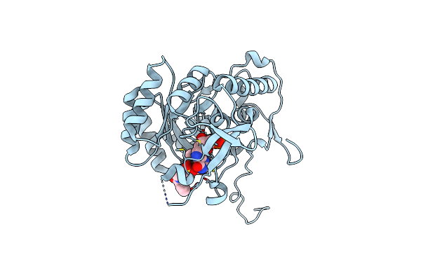 6D4R image