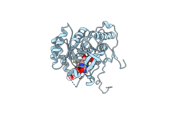 6D4U image