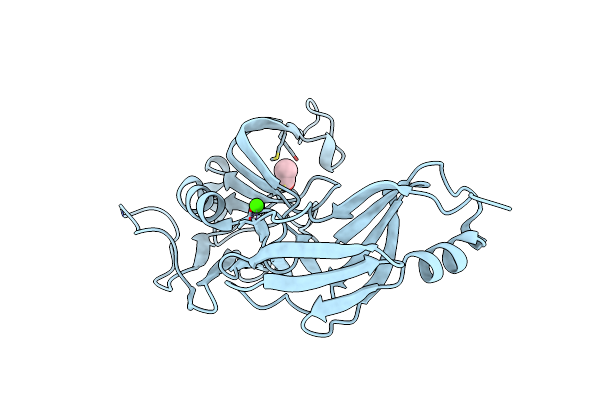 6D51 image
