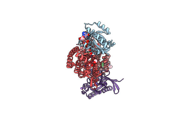 6D55 image