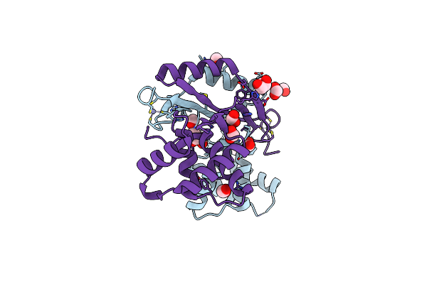 6D57 image