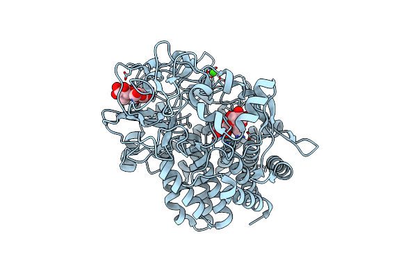 6D5D image