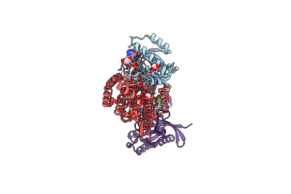 6D5G image