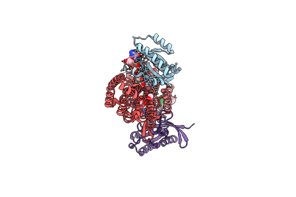 6D5H image