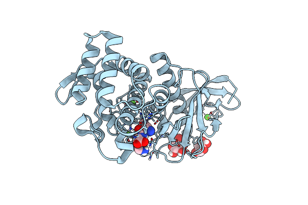 6D5N image