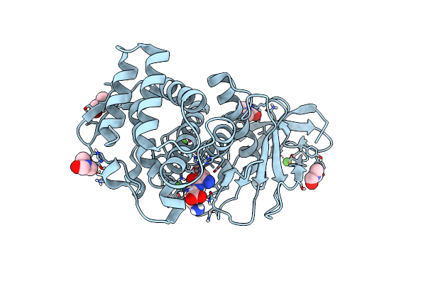 6D5O image