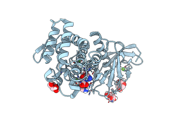 6D5P image