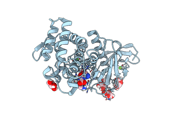 6D5R image