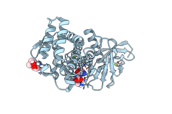 6D5T image