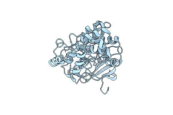 6D5Y image