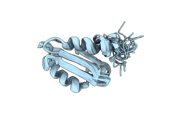 6D5Z image