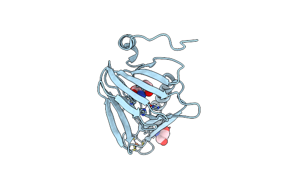 6D62 image