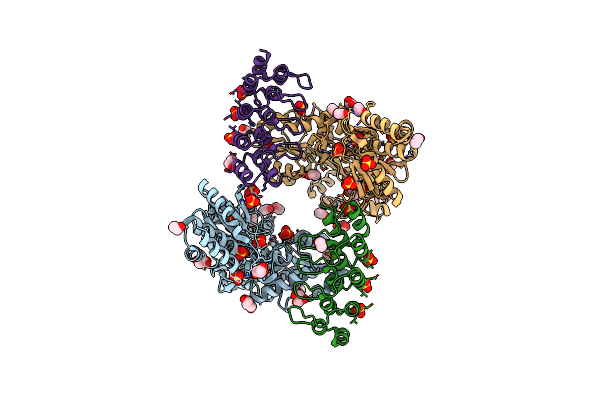 6D65 image