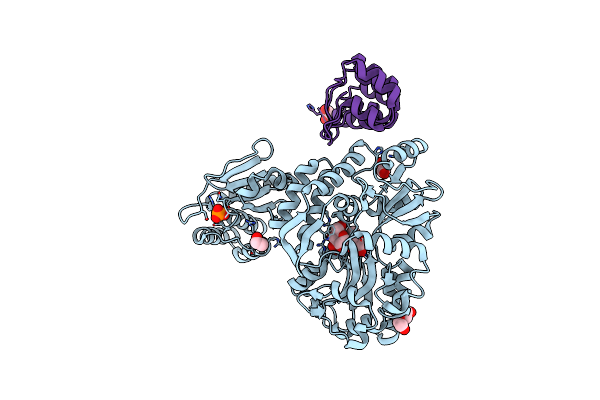6D67 image