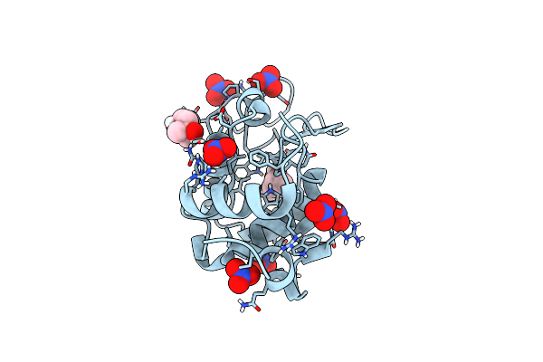 6D6H image