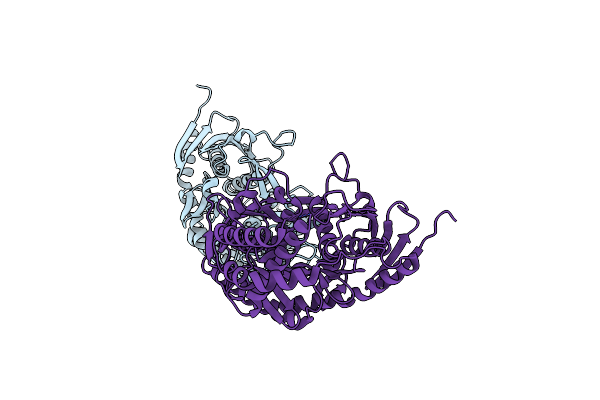 6D6K image