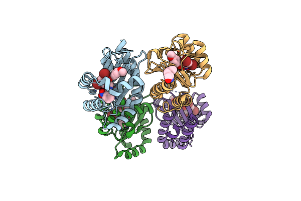 6D6N image
