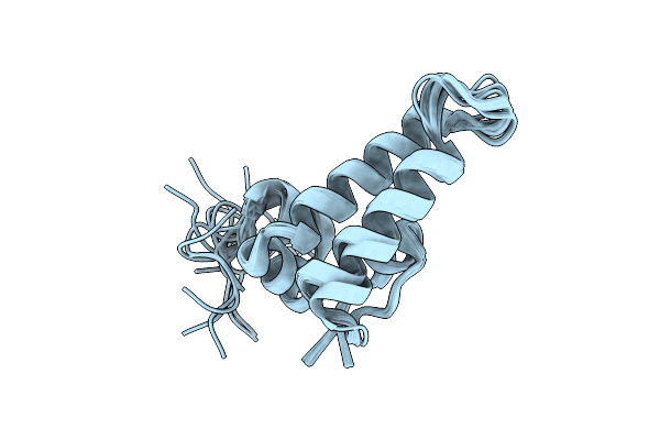 6D6X image