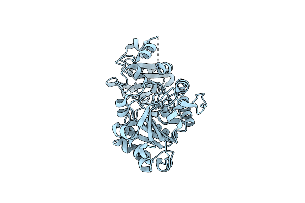 6D6Z image