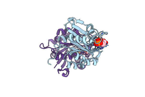 6D71 image