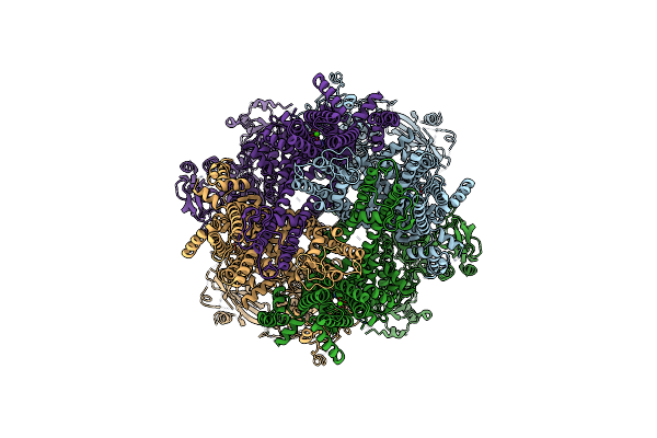 6D73 image