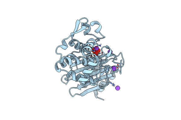 6D7H image