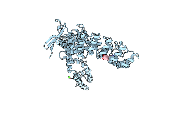 6D7P image