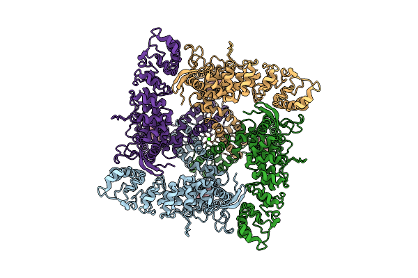 6D7T image