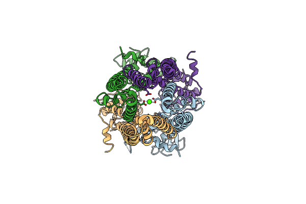 6D7W image
