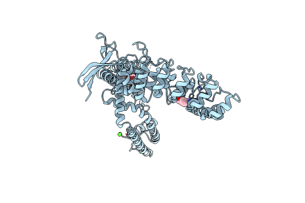 6D7X image