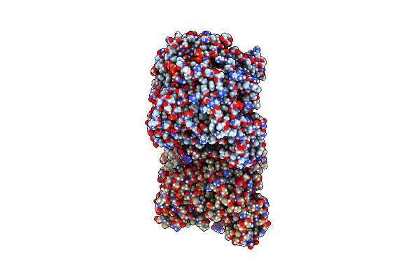 6D8A image